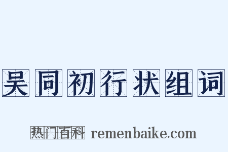 吴同初行状组词是什么意思的图片